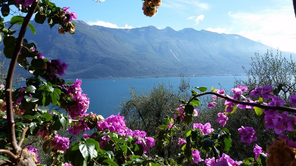 Hotel Augusta Garni Limone sul Garda Eksteriør billede