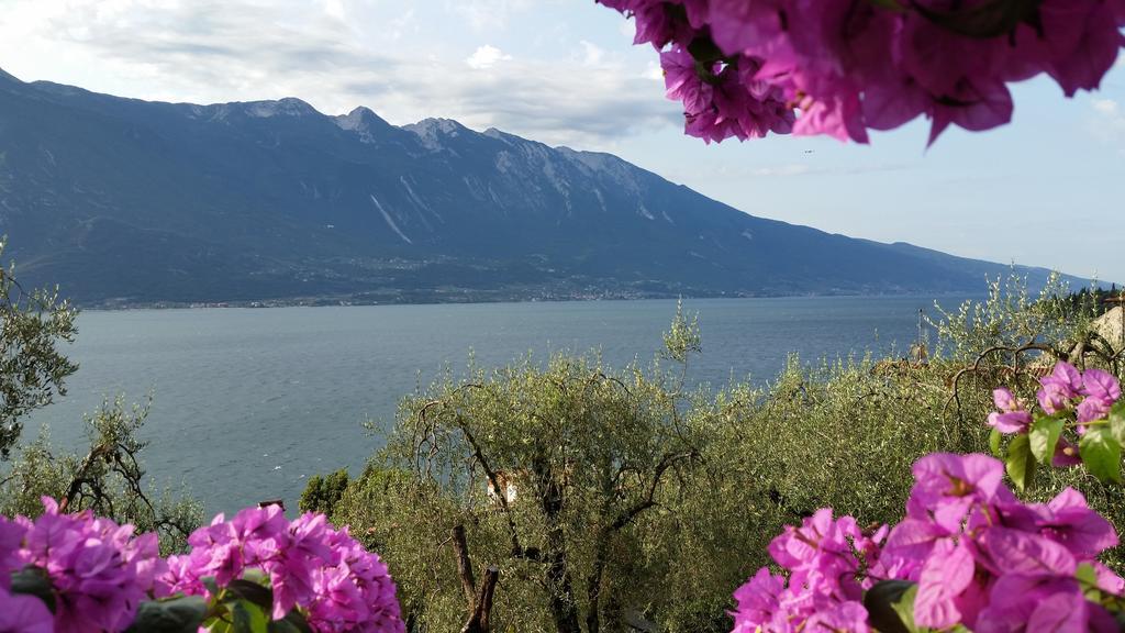 Hotel Augusta Garni Limone sul Garda Værelse billede