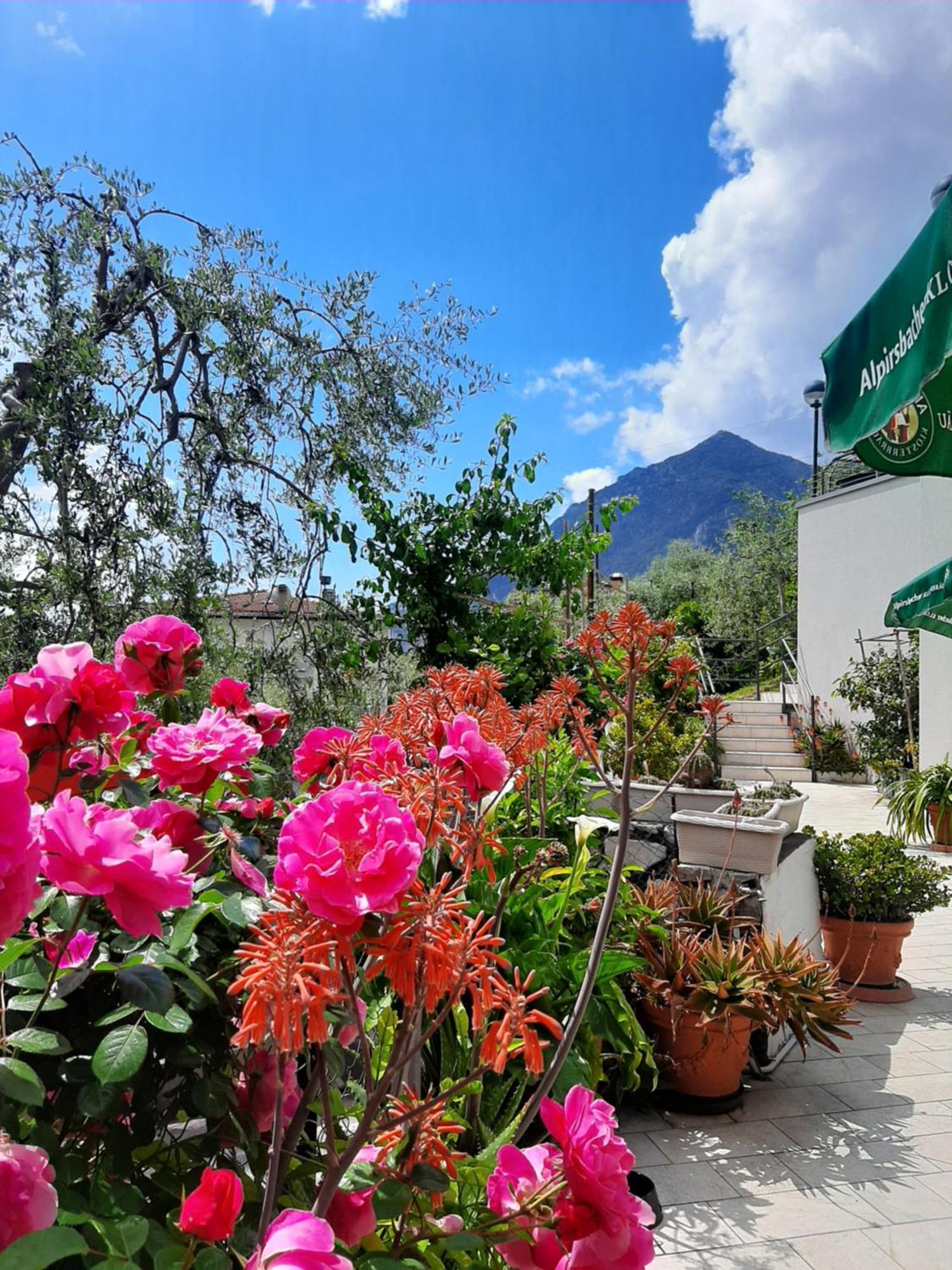 Hotel Augusta Garni Limone sul Garda Eksteriør billede